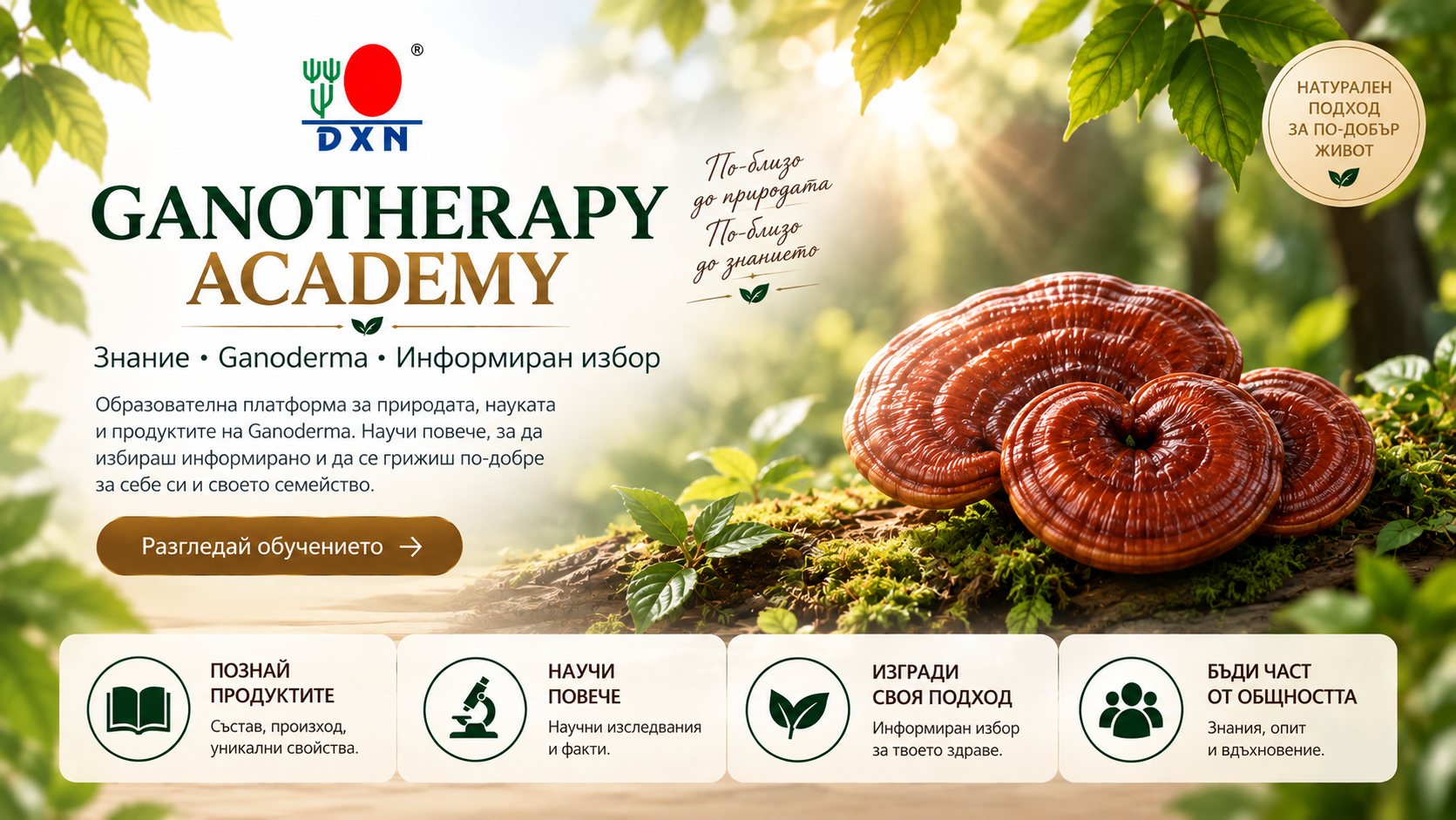 Ganotherapy Academy – Ganoderma, знания и информиран избор | DXNBG